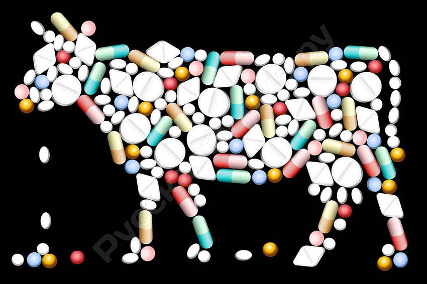 Анализ молока на содержание антибиотиков