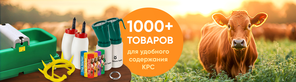 Животноводство