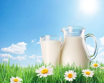 Вредоносные микроорганизмы в молоке