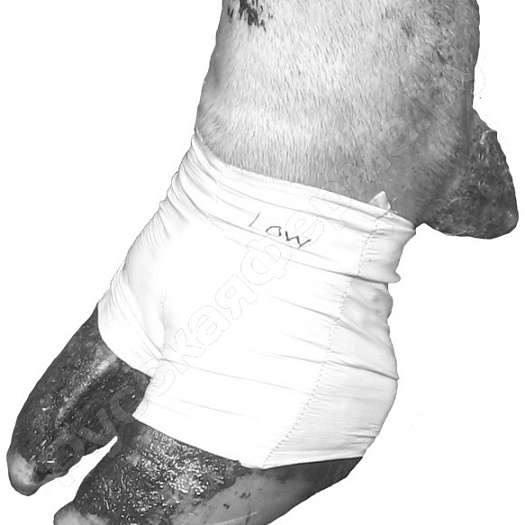 Бандаж-носок для лечения копыт у коров L (упаковка 10шт)